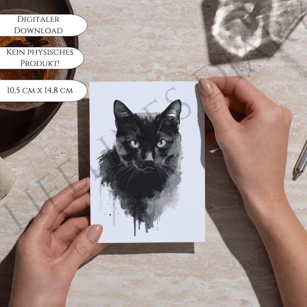 Bundle „Schwarze Katze" – Bild 2