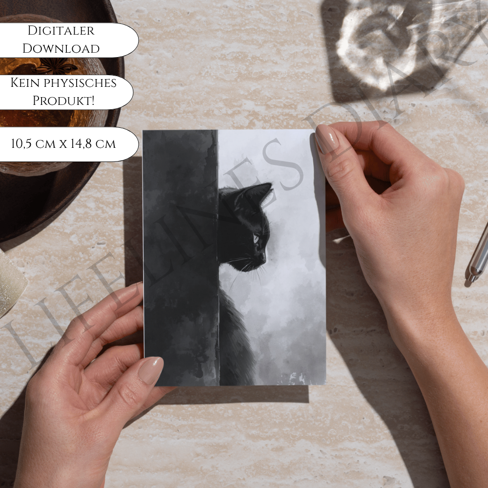 Bundle „Schwarze Katze" – Bild 4