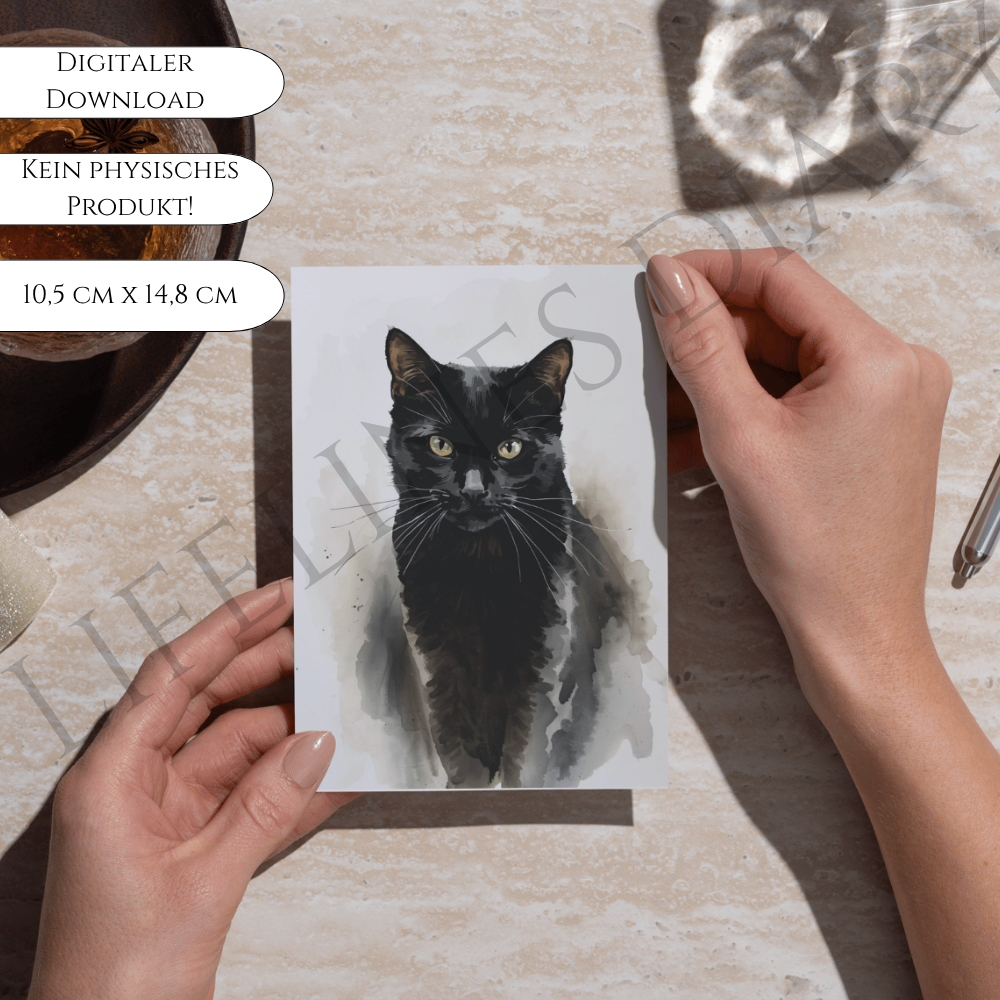 Bundle „Schwarze Katze" – Bild 6